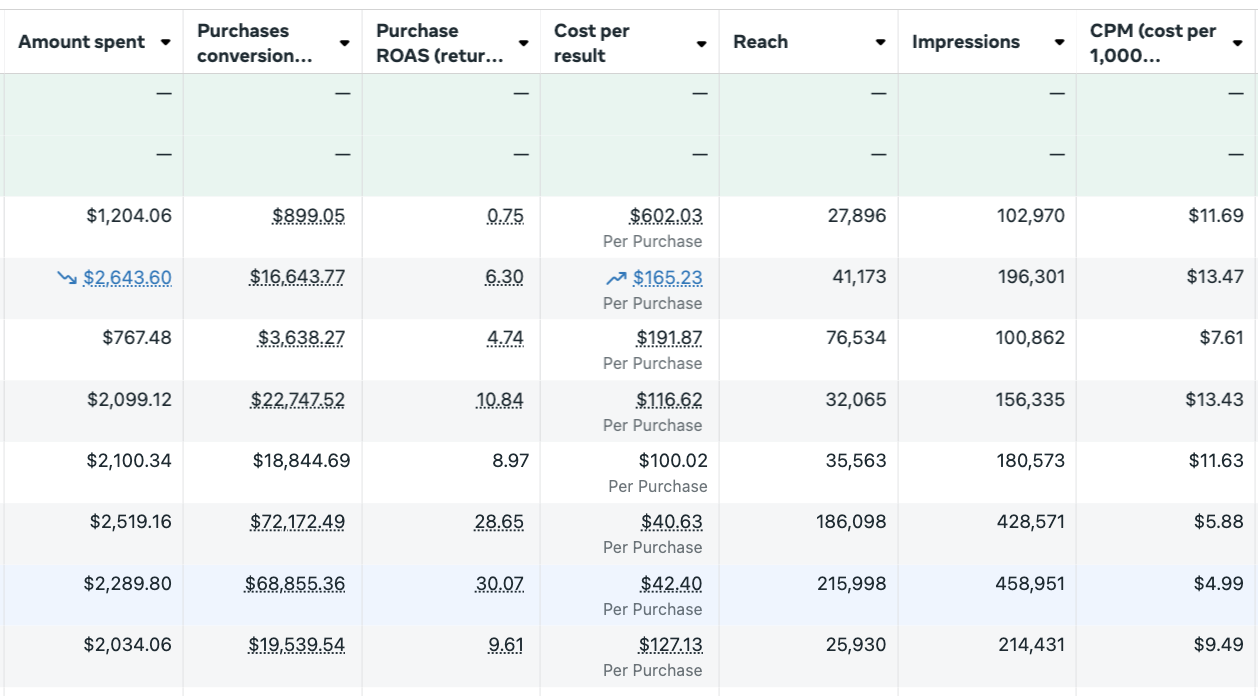 Meta ad account with multiple campaigns showing ROAS from 4.74x to 30.07x